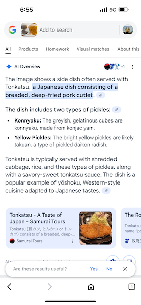 Google AI Overview helping identify a photo of appetizers at a traditional restaurant in Japan